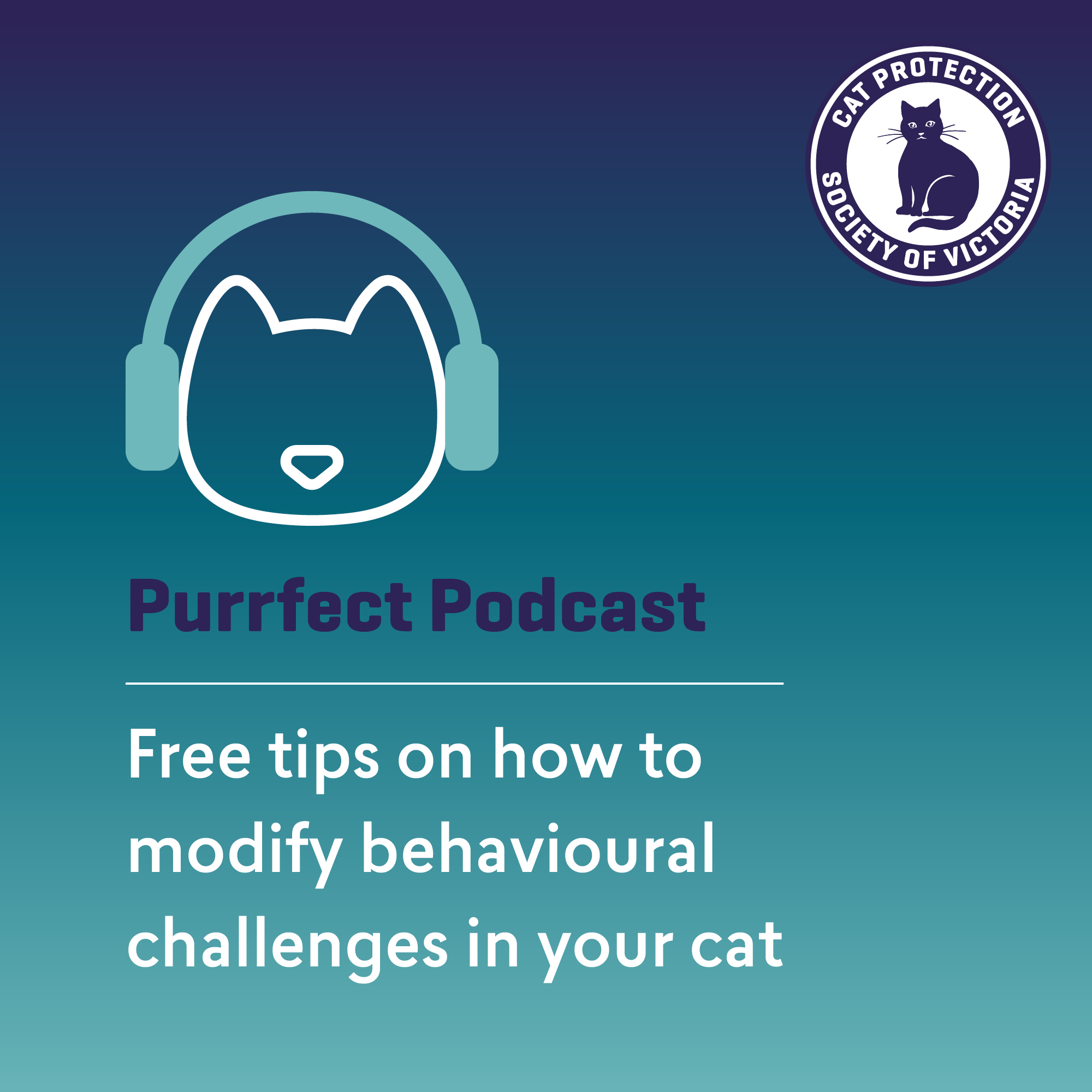Free tips on how to modify behavioural challenges in your cat