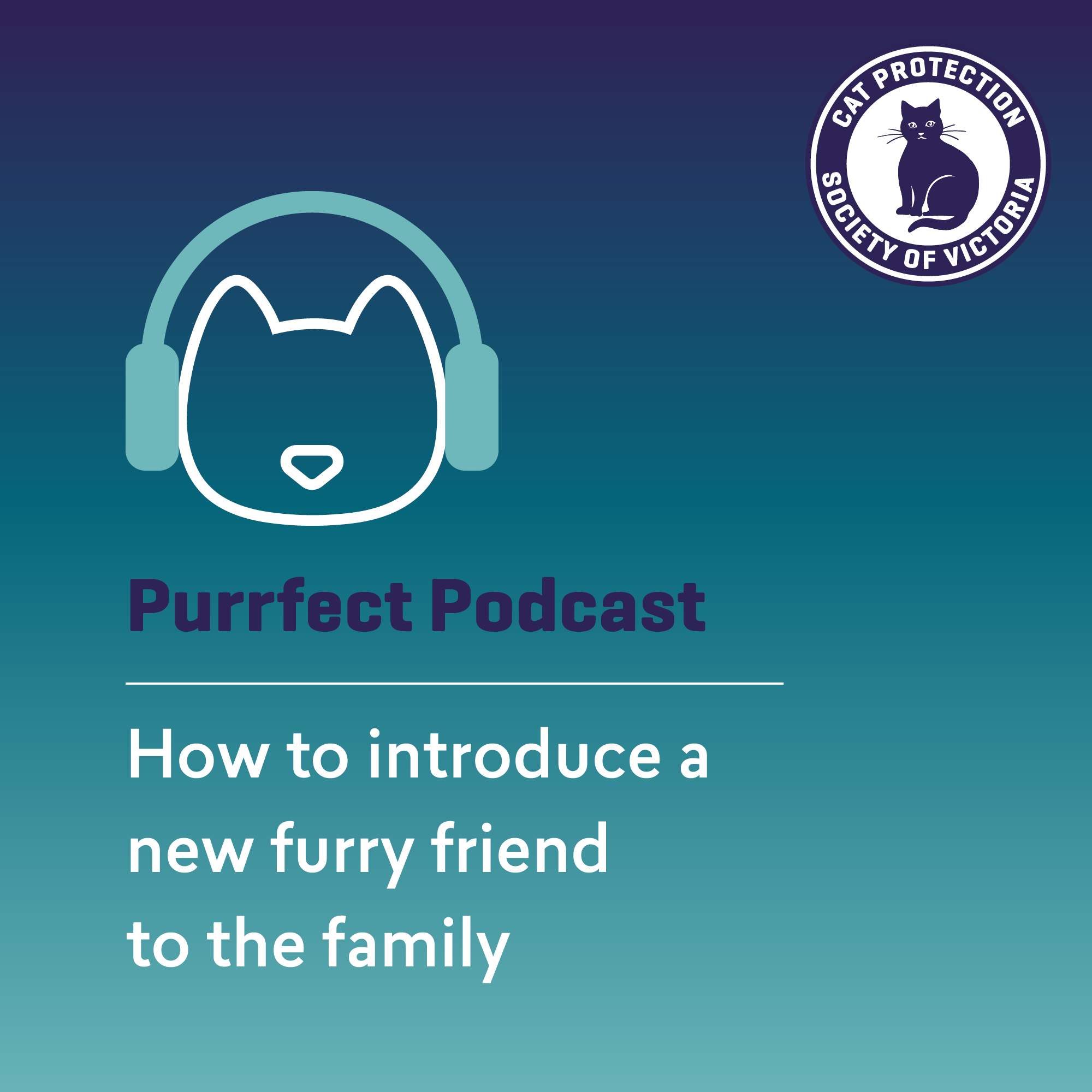 How to introduce a new furry friend to the family