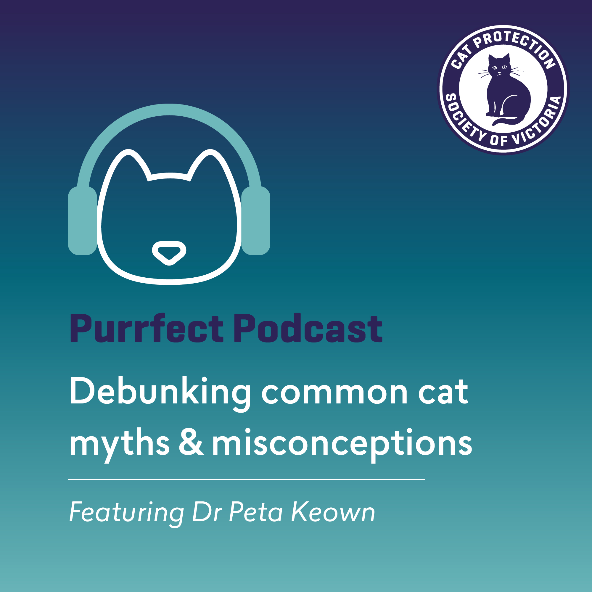 Debunking current cat myths & misconceptions