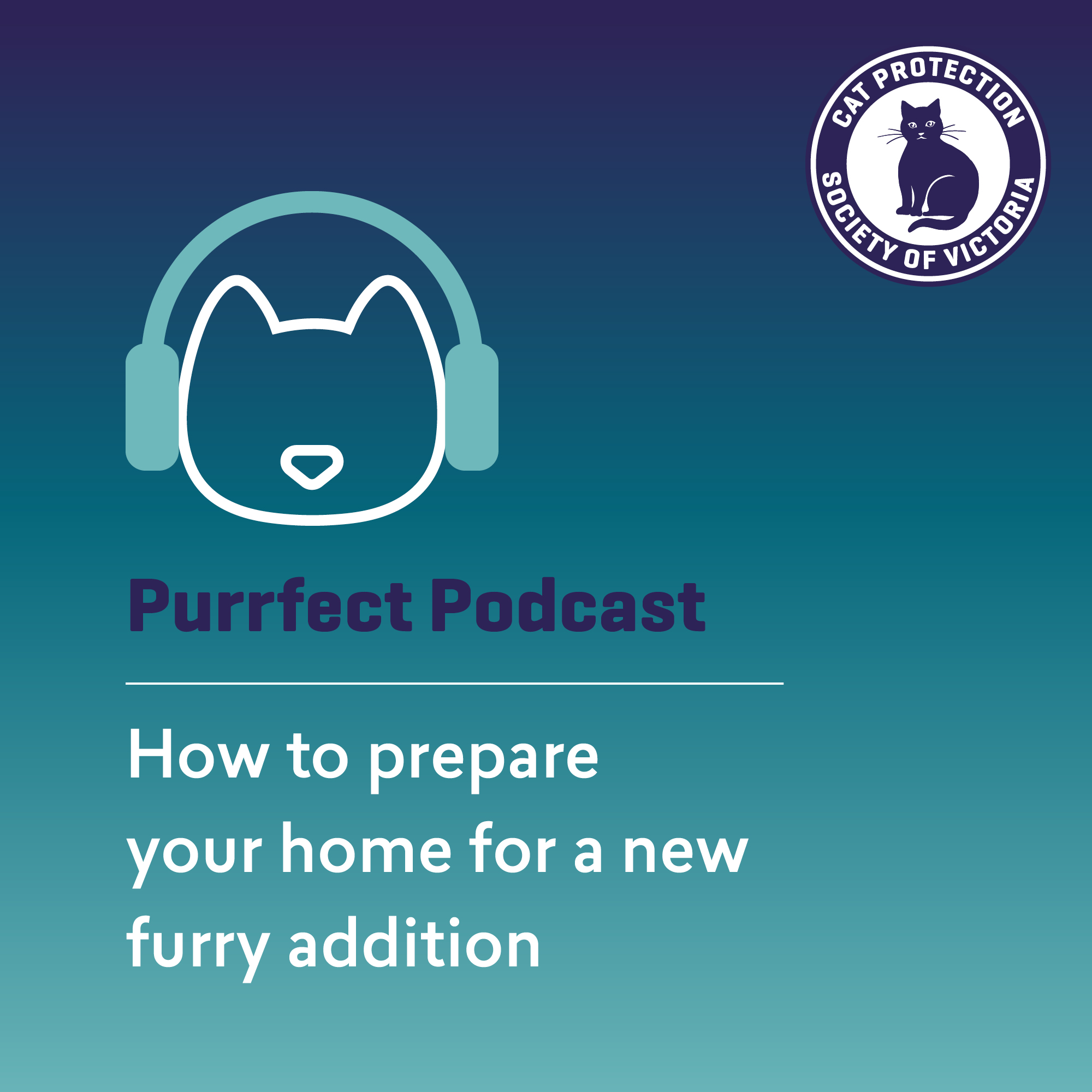 How to help prepare your home & family for a new cat