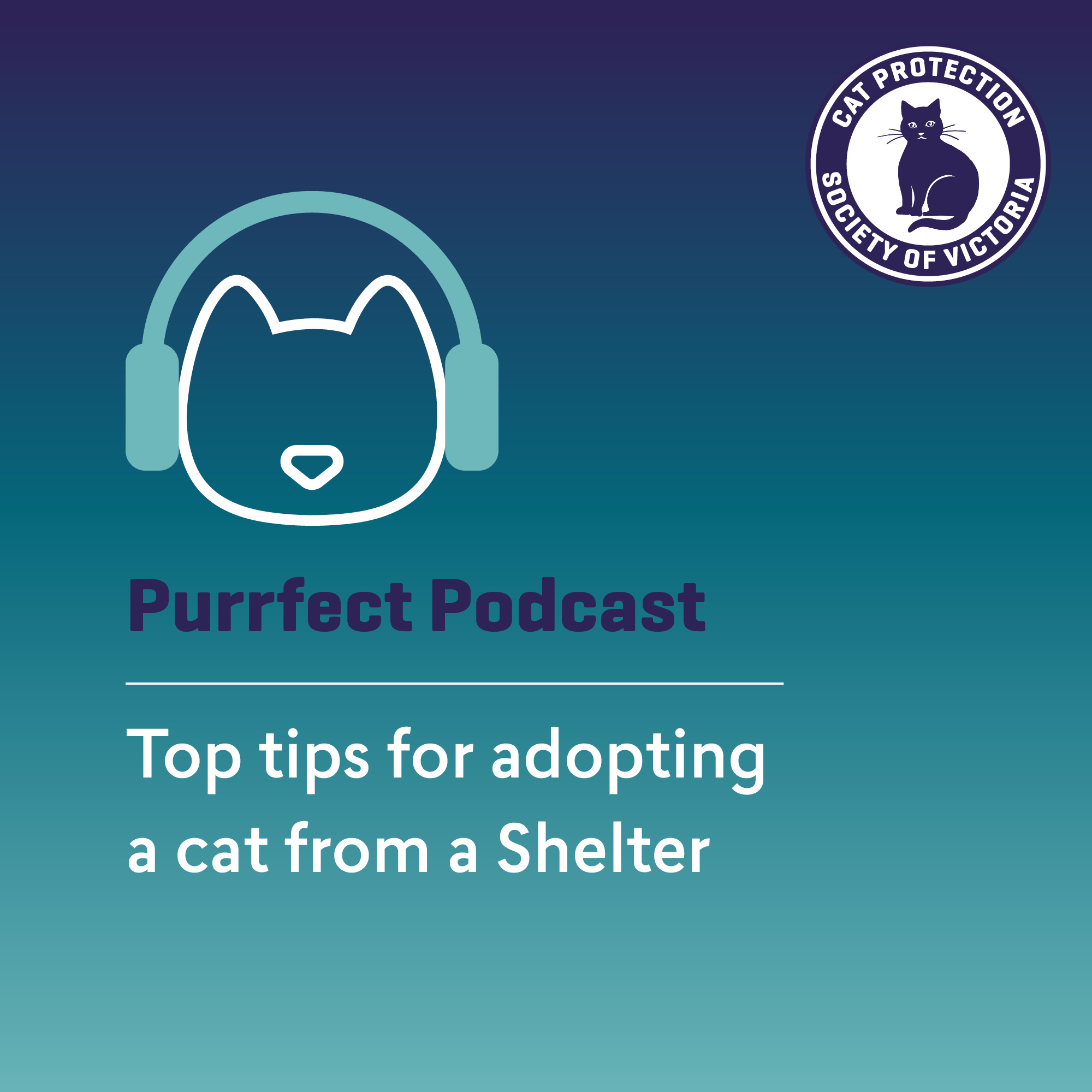Top tips for adopting from a Shelter